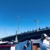 St. Petersburg 1
